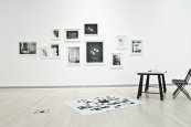 Curators' Network Budapest - exhibition view (photo: Géza Talabér, Imre Varga)